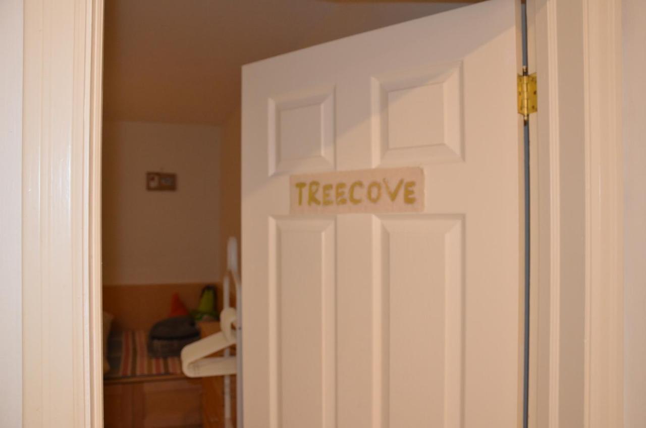 Отель Tree N Stone Торонто Экстерьер фото